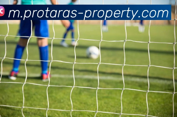 博鱼体育品牌故事